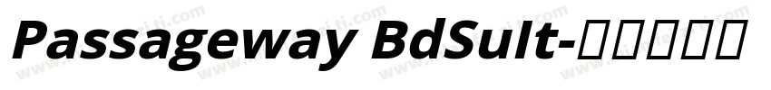 Passageway BdSuIt字体转换